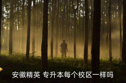 安徽精英 專升本每個(gè)校區(qū)一樣嗎