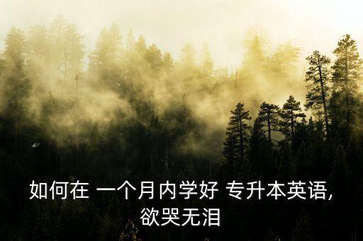 如何在 一個(gè)月內(nèi)學(xué)好 專升本英語(yǔ),欲哭無(wú)淚