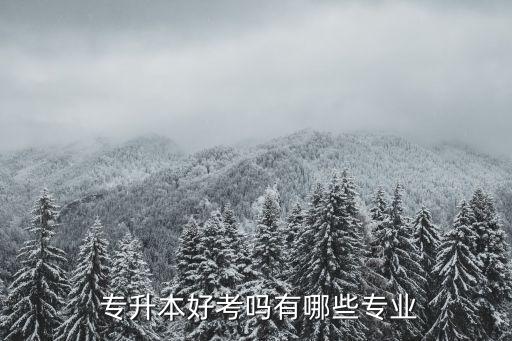 專升本商務(wù)英語容易考,商務(wù)英語專業(yè)專升本需要考些什么科目