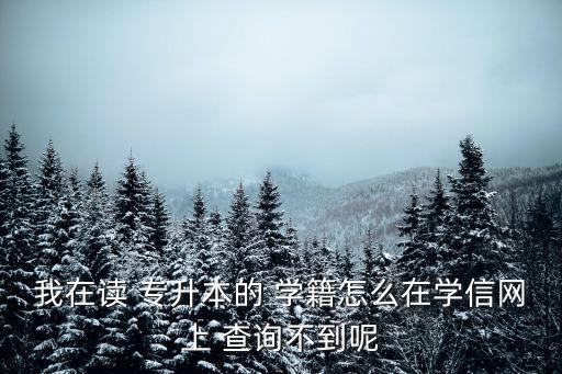 我在讀 專升本的 學籍怎么在學信網上 查詢不到呢