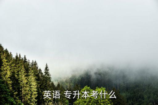  英語 專升本考什么