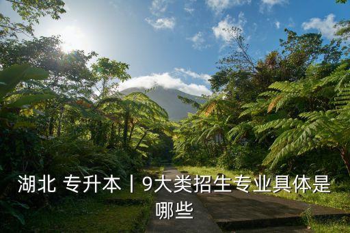 湖北 專升本丨9大類招生專業(yè)具體是哪些