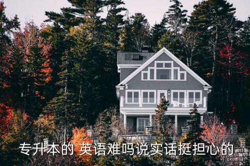 專升本的 英語難嗎說實話挺擔心的