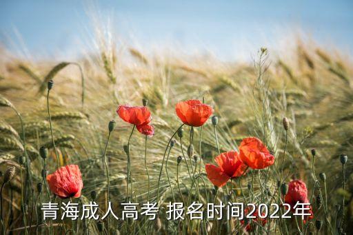 青海成人高考 報(bào)名時(shí)間2022年