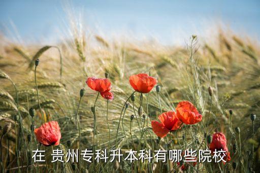 在 貴州?？粕究朴心男┰盒? class=