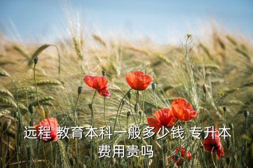  遠(yuǎn)程 教育本科一般多少錢 專升本費(fèi)用貴嗎