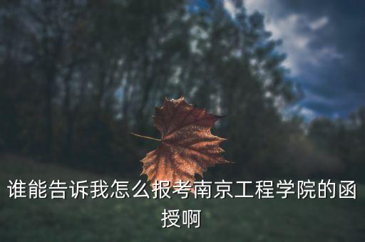 誰(shuí)能告訴我怎么報(bào)考南京工程學(xué)院的函授啊