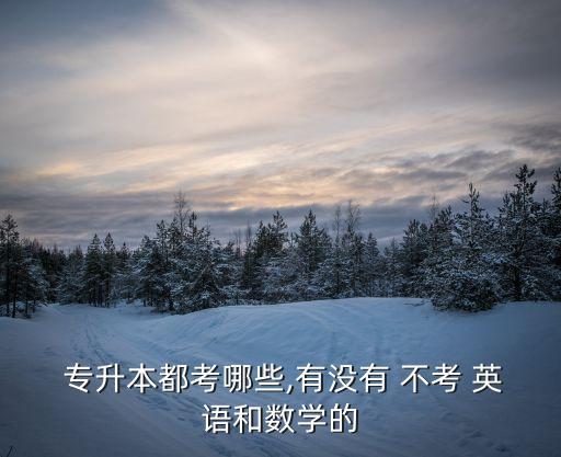  專升本都考哪些,有沒有 不考 英語和數(shù)學的