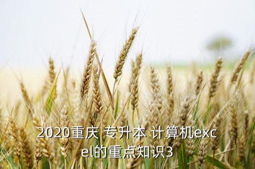 專升本計(jì)算機(jī)ppt考點(diǎn),山東省專升本計(jì)算機(jī)必背考點(diǎn)