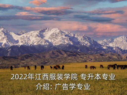 廣告學(xué) 專升本知識點,湖北專升本廣告學(xué)模擬試題