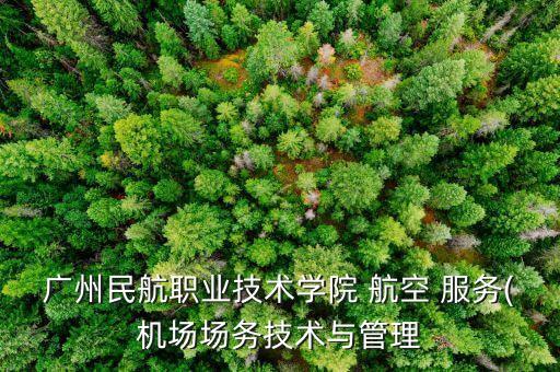 廣州民航職業(yè)技術(shù)學(xué)院 航空 服務(wù)(機(jī)場場務(wù)技術(shù)與管理
