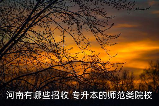 南陽(yáng)師院2017專升本錄取線,今年南陽(yáng)師院美術(shù)生錄取線