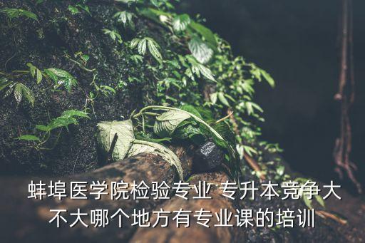  蚌埠醫(yī)學(xué)院檢驗(yàn)專業(yè) 專升本競爭大不大哪個(gè)地方有專業(yè)課的培訓(xùn)