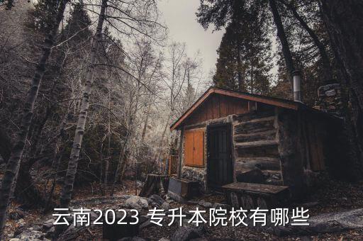 云南2023 專升本院校有哪些