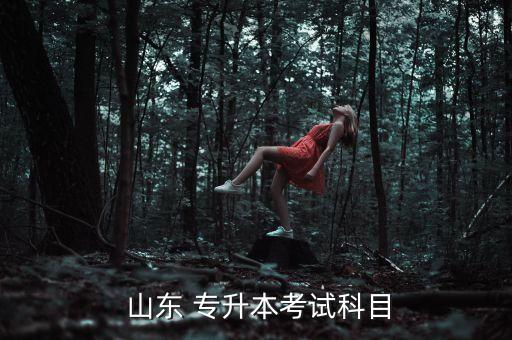  山東 專升本考試科目