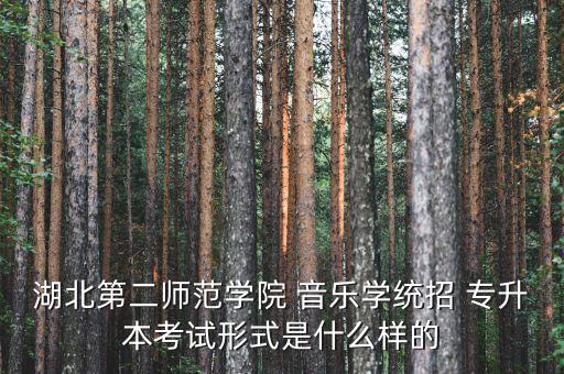 湖北第二師范學(xué)院 音樂學(xué)統(tǒng)招 專升本考試形式是什么樣的