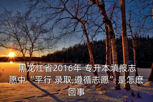  黑龍江省2016年 專升本填報志愿中“平行 錄取,遵循志愿”是怎麼回事