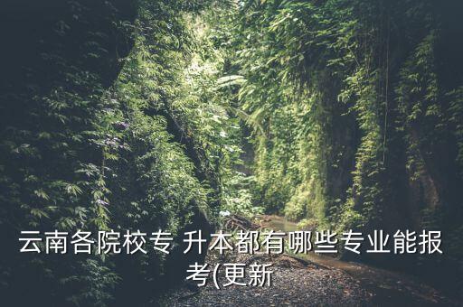 云南各院校專 升本都有哪些專業(yè)能報(bào)考(更新