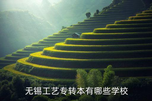  無(wú)錫工藝專轉(zhuǎn)本有哪些學(xué)校