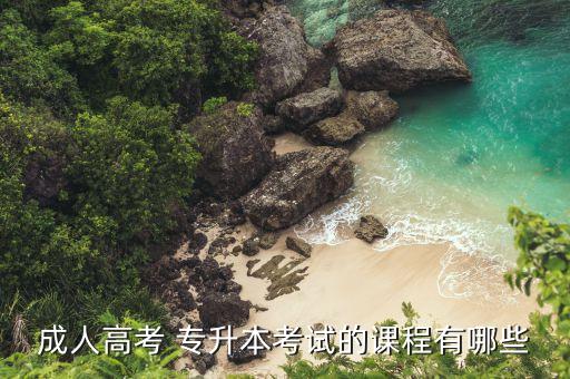 成人高考 專(zhuān)升本考試的課程有哪些