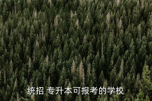 西昌學(xué)院有專升本嗎