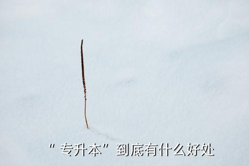 專升本戶口本 積分入戶,積分入戶的戶口本跟當?shù)氐囊粯訂?/></a></span><span id=