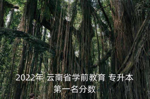 2022年 云南省學(xué)前教育 專升本第一名分數(shù)