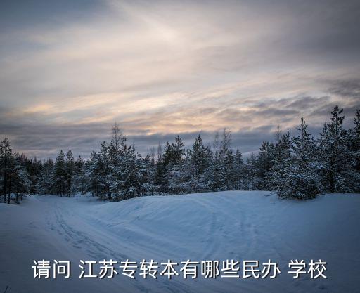 請(qǐng)問(wèn) 江蘇專轉(zhuǎn)本有哪些民辦 學(xué)校