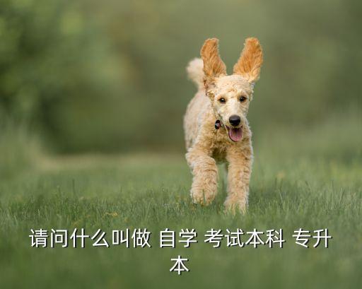 廣東省自學(xué)考試專升本,自學(xué)考試專升本報名時間