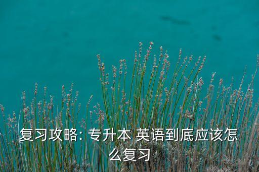 復(fù)習(xí)攻略: 專升本 英語到底應(yīng)該怎么復(fù)習(xí)