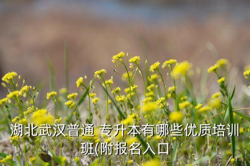 湖北武漢普通 專(zhuān)升本有哪些優(yōu)質(zhì)培訓(xùn)班(附報(bào)名入口