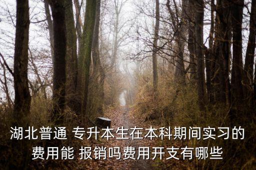 湖北普通 專升本生在本科期間實(shí)習(xí)的費(fèi)用能 報銷嗎費(fèi)用開支有哪些