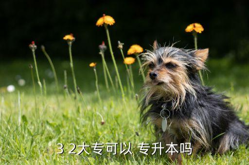3 2大?？梢?專升本嗎