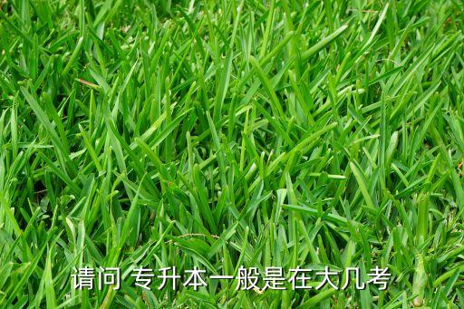 請問 專升本一般是在大幾考