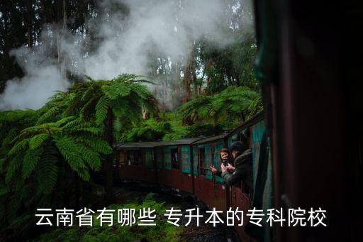 云南省有哪些 專升本的?？圃盒? class=