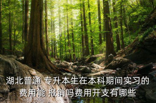 湖北普通 專升本生在本科期間實習(xí)的費用能 報銷嗎費用開支有哪些