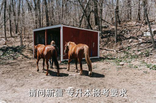 請問新疆 專升本報考要求