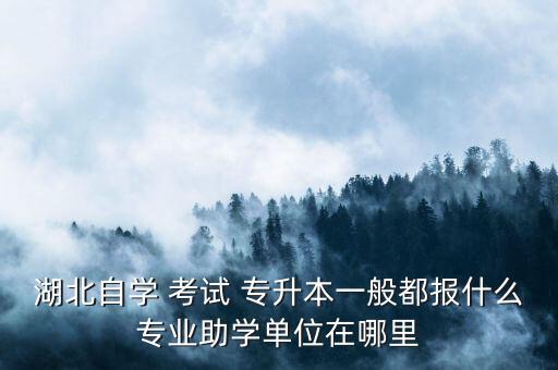湖北自學(xué) 考試 專(zhuān)升本一般都報(bào)什么專(zhuān)業(yè)助學(xué)單位在哪里