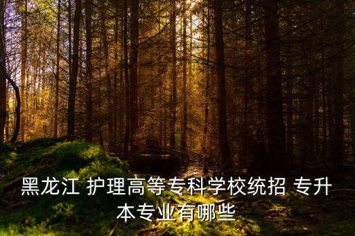黑龍江 護(hù)理高等?？茖W(xué)校統(tǒng)招 專升本專業(yè)有哪些