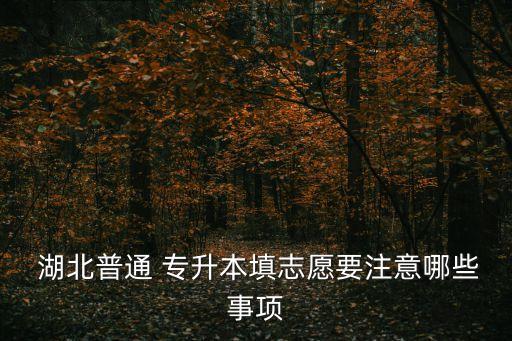  湖北普通 專升本填志愿要注意哪些事項