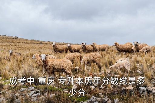 重慶2012專升本錄取線,重慶長江師范學(xué)院專升本專業(yè)錄取線
