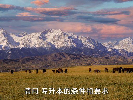 上海大專專升本簡章,在上海讀大?？梢曰乩霞覍Ｉ締? /></a><a href=