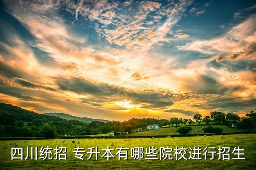 四川統(tǒng)招 專(zhuān)升本有哪些院校進(jìn)行招生