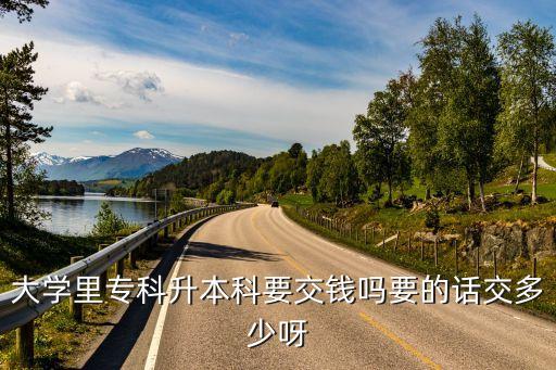 大學里?？粕究埔诲X嗎要的話交多少呀