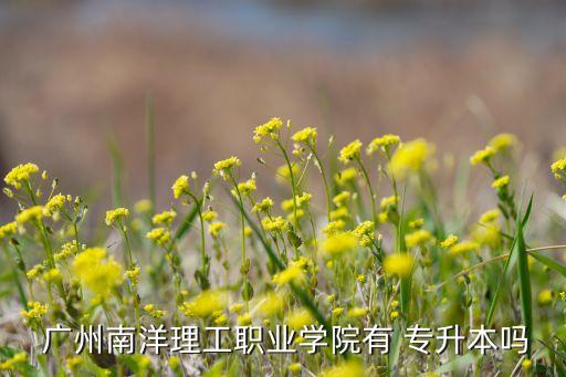 校內(nèi)專(zhuān)升本廣州,校內(nèi)的專(zhuān)升本好還是校外的好