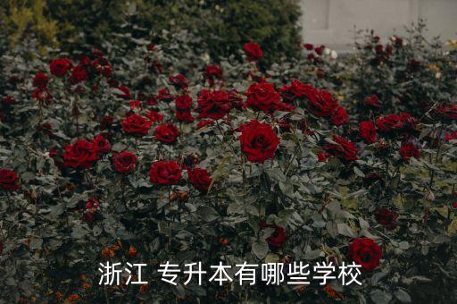 浙江 專升本有哪些學校