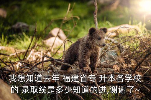 福建大專(zhuān)升本學(xué)院錄取,2022福建專(zhuān)升本錄取結(jié)果