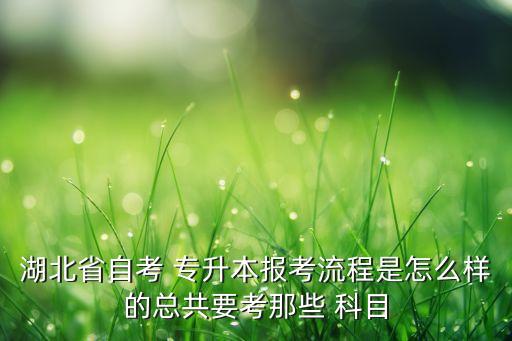 湖北省自考 專升本報考流程是怎么樣的總共要考那些 科目