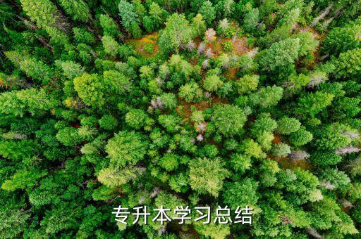 會計(jì)專升本的自我鑒定范文,專升本會計(jì)專業(yè)自我鑒定200字左右