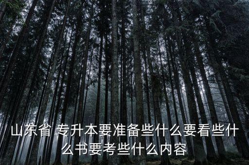 山東省 專升本要準備些什么要看些什么書要考些什么內(nèi)容